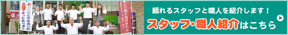 スタッフ紹介